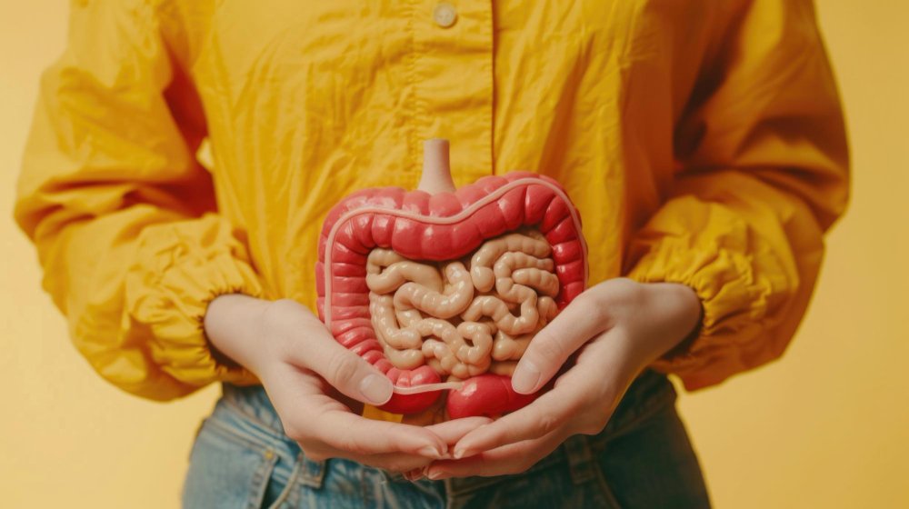 Wellhealthorganic.Com : Key Signs Of Gastroenteritis