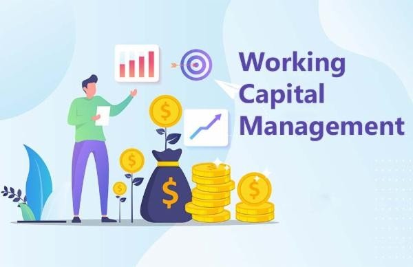 The Importance of Working Capital Management for Business Growth