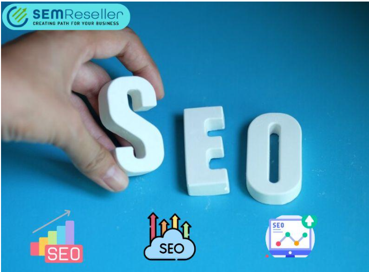 SEO Expert in India