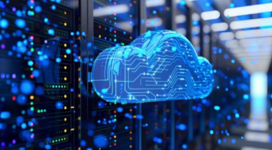 Application Management Services