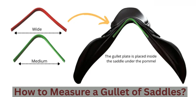 measure a gullet of saddle