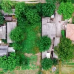 Tree Removal