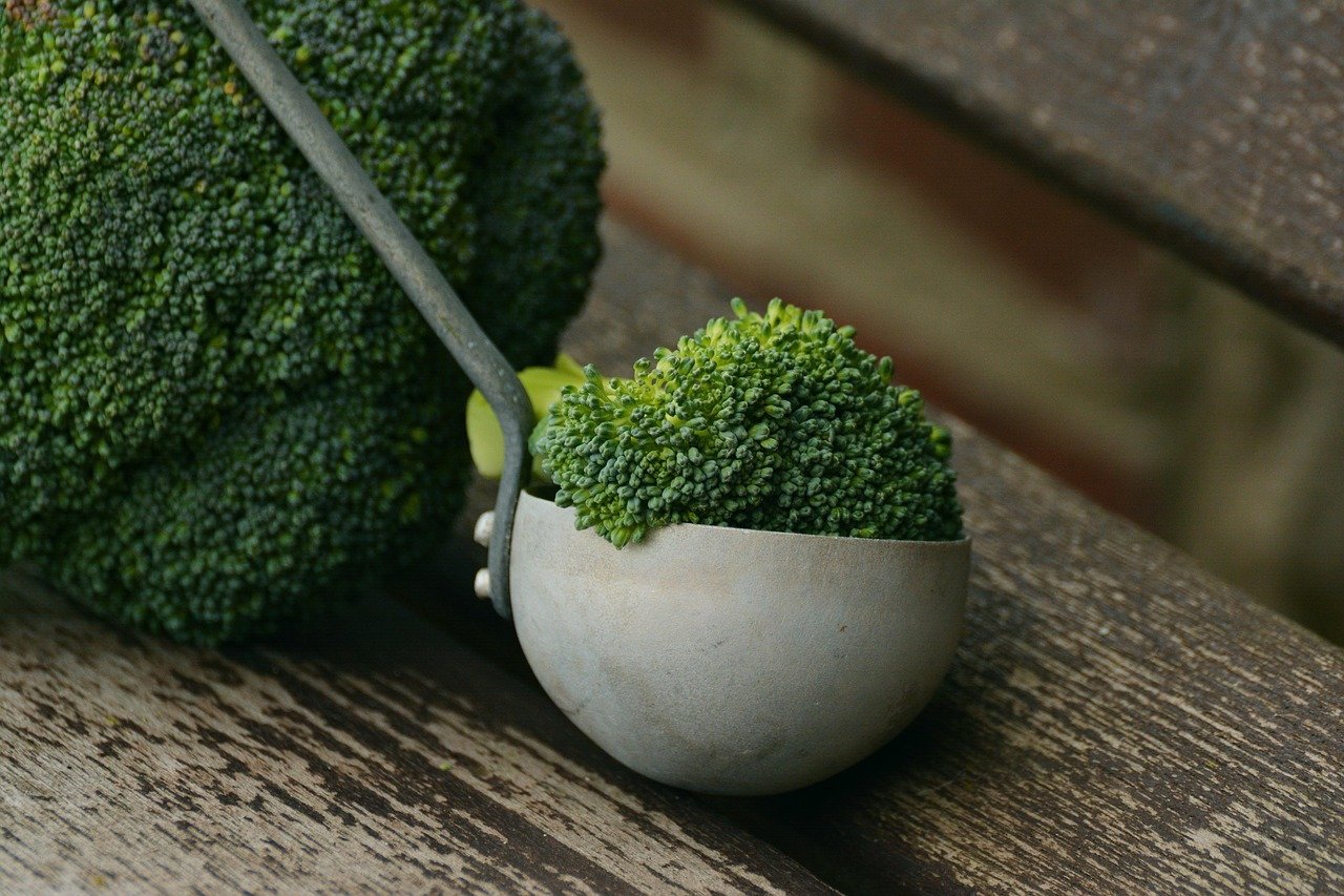 Veganovies com