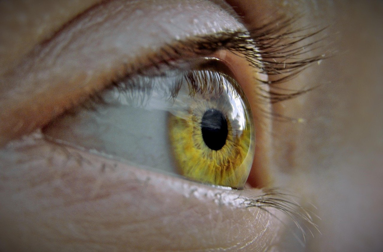 How to Become a Lash Tech in Missouri