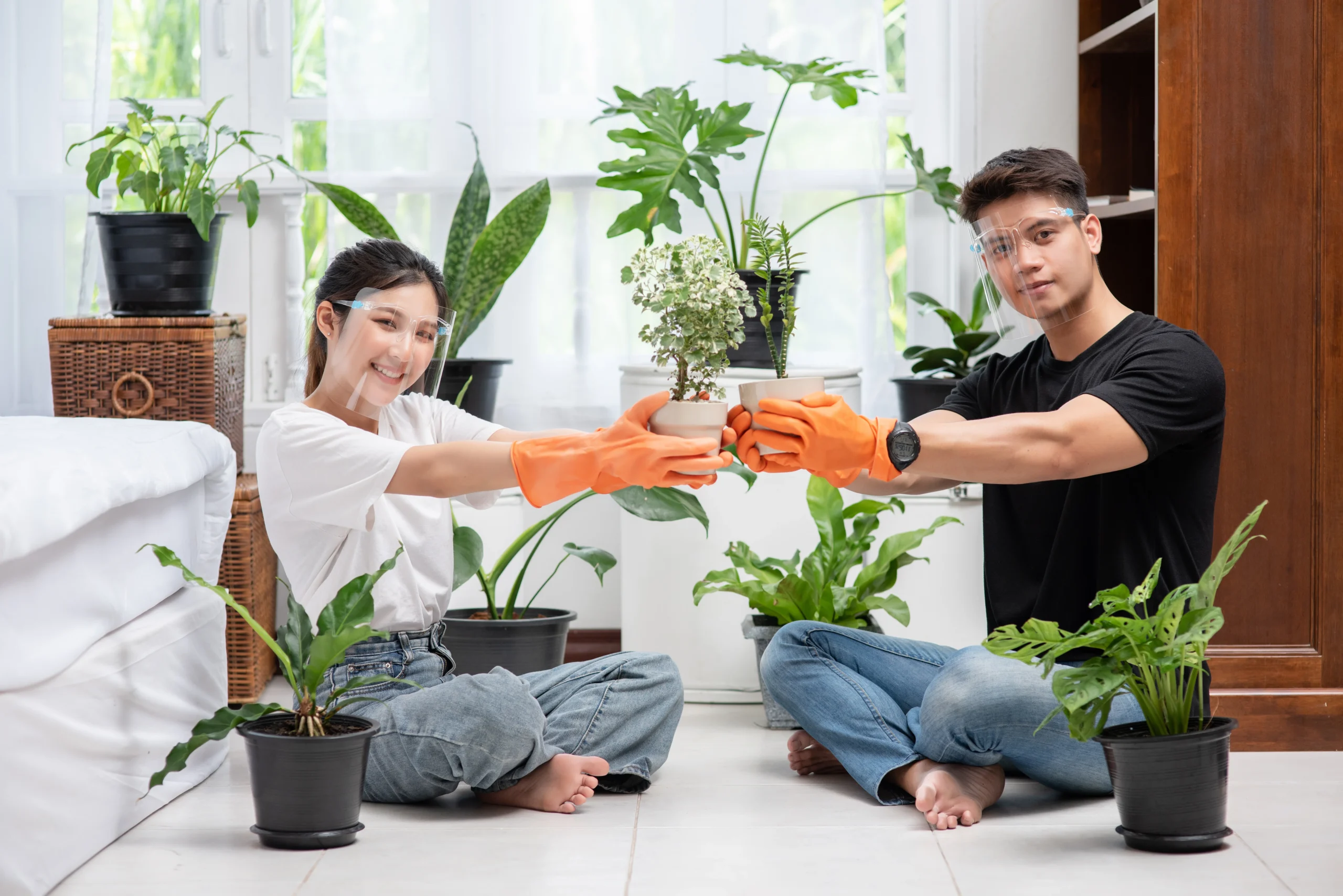How Do You Choose the Right Plant Set for Your Home?