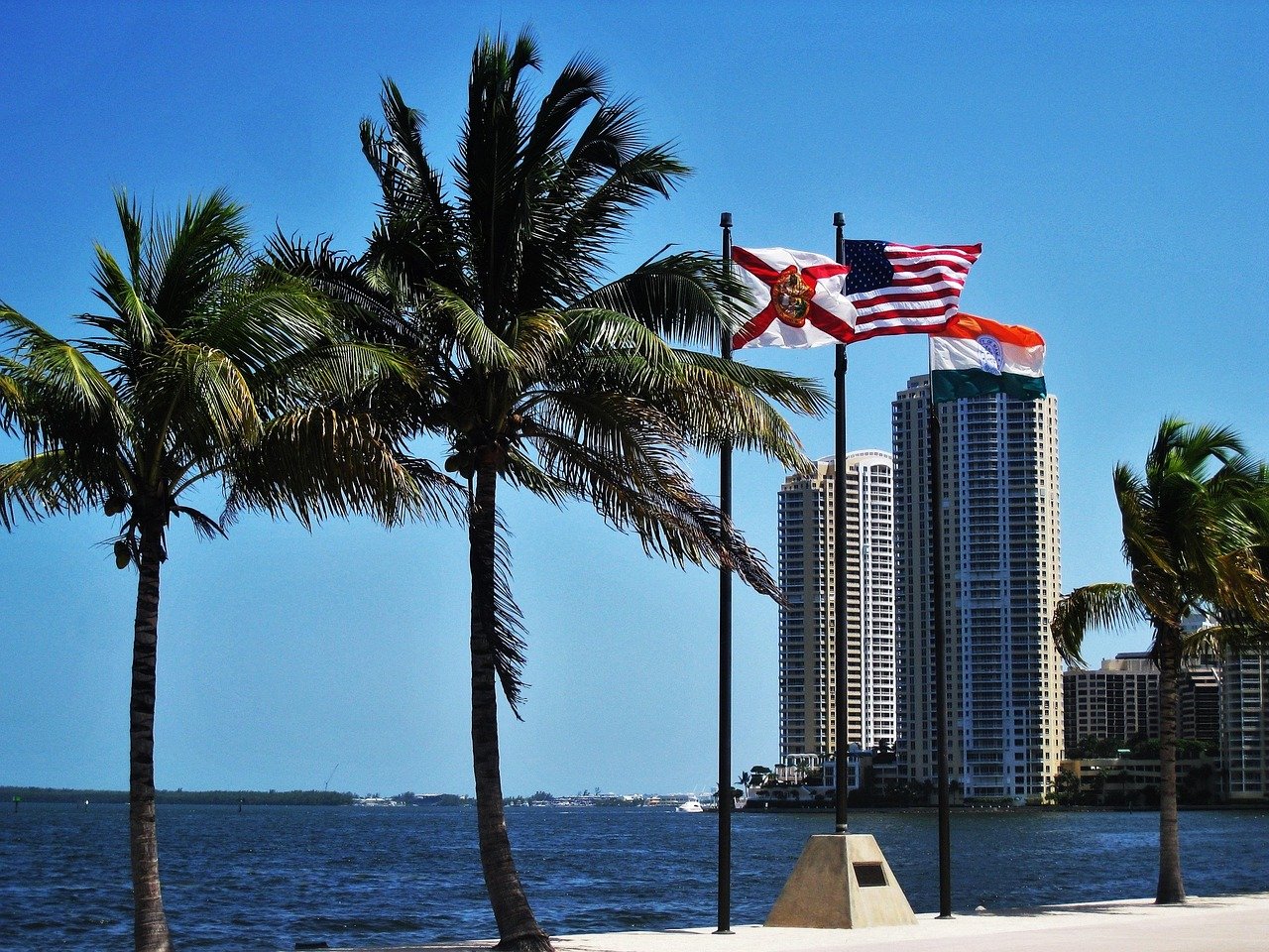 Florida 954 Area Code