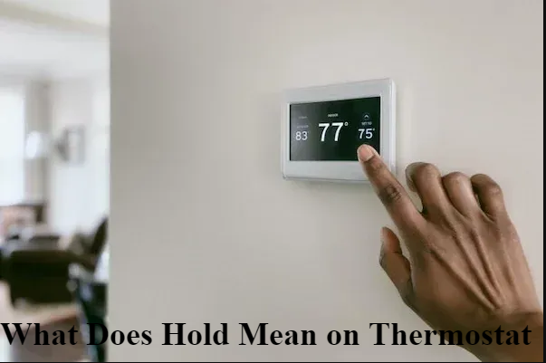 What Does Hold Mean on Thermostat