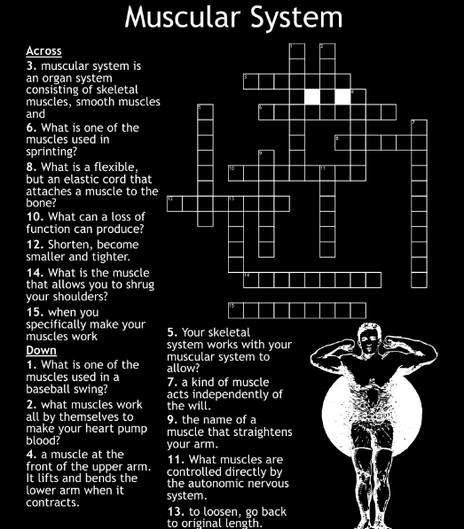 Component of Muscle Tissue NYT Crossword