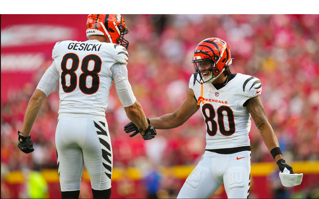 Washington Commanders vs Bengals Match Player Stats