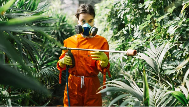 The Role of Eco-Friendly Pest Control Methods in Modern Homes